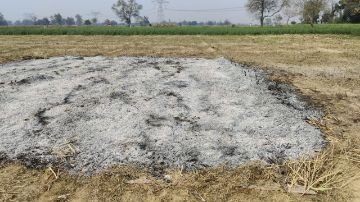 कानपुर24फरवरी24*कुदरत की कहर के बाद अराजक तत्वों का कहर जारी । कानपुर24फरवरी24*कुदरत की कहर के बाद अराजक तत्वों का कहर जारी ।