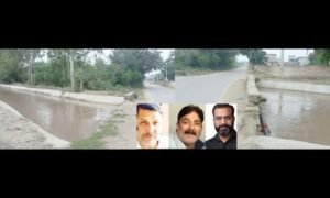 पंजाब मंगलवार, 19 मार्च 2024* नहर की पुली टूटी होने से कभी भी हो सकता है हादसा, प्रशासन होगा जिम्मेवार : समाजसेवी
