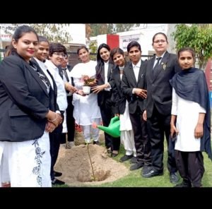 पंजाब 22 मार्च 2024* महिला वकीलों ने किया पौधा रोपण।