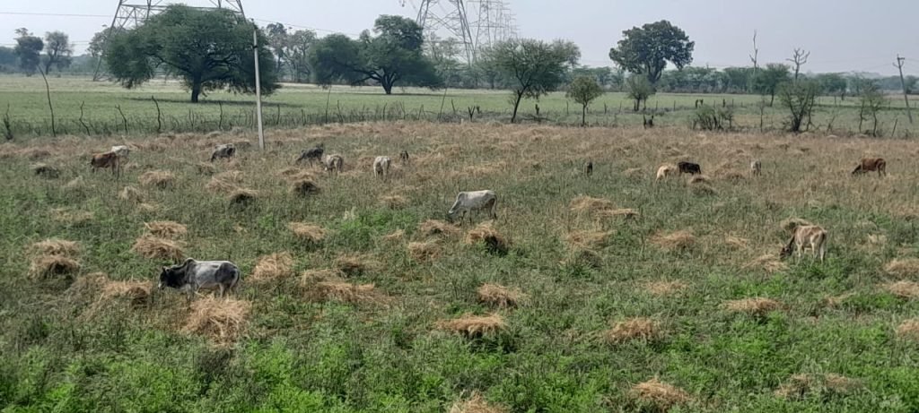 झाँसी20मार्च24*यूपीआजतक न्यूज चैनल पर मऊरानीपुर की खास खास खबरें झाँसी20मार्च24*यूपीआजतक न्यूज चैनल पर मऊरानीपुर की खास खास खबरें