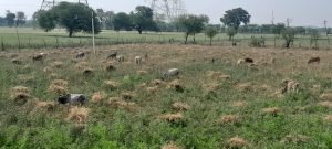 झाँसी20मार्च24*यूपीआजतक न्यूज चैनल पर मऊरानीपुर की खास खास खबरें