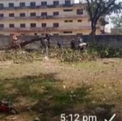 कौशाम्बी08मार्च24*एक स्थान के सूखे पेड़ का परमिट लेकर कई स्थानों पर काट दिए गए हरे पेड़* कौशाम्बी08मार्च24*एक स्थान के सूखे पेड़ का परमिट लेकर कई स्थानों पर काट दिए गए हरे पेड़*