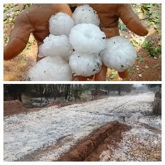 अनूपपुर18मार्च24*अनूपपुर जिले में ओलो के साथ हुई भारी बरसात