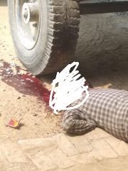 अयोध्या21मार्च24*पूर्व प्रधान के पुत्र की पीट पीट कर हत्या, दिनदहाड़े हुई हत्या से क्षेत्र में सनसनी