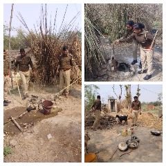 कुशीनगर23मार्च24*कच्ची शराब बनाने बालो पर आबकारी विभाग का कहर जारी।