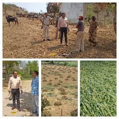 मऊरानीपुर29मार्च24*एसडीएम ने ग्राम पंचायत भण्डरा में संचालित हो रही अस्थाई गौ आश्रय केंद्र का किया औचक निरीक्षण मऊरानीपुर29मार्च24*एसडीएम ने ग्राम पंचायत भण्डरा में संचालित हो रही अस्थाई गौ आश्रय केंद्र का किया औचक निरीक्षण