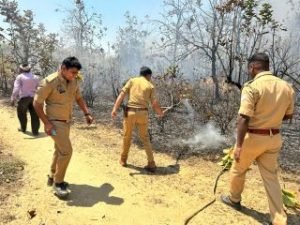 अयोध्या08अप्रैल24*गणेशपुर के जंगल में लग लगने से हजारों की वन संपदा नष्ट 