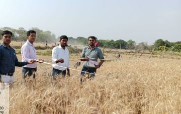 कौशाम्बी12अप्रैल24*किसानों को क्रॉप कटिंग की महत्ता के प्रति किया गया जागरूक* कौशाम्बी12अप्रैल24*किसानों को क्रॉप कटिंग की महत्ता के प्रति किया गया जागरूक*