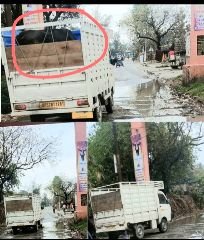 कुशीनगर13अप्रैल24*बिहार सीमा बहादुरपुर चौकी पर पशु तस्करों का गैंग सक्रिय,