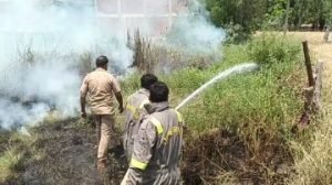 अयोध्या13अप्रैल24*कूड़े के ढेर में अज्ञात कारणों से लगी आग