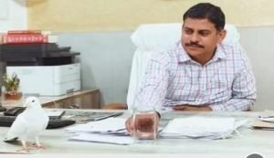 मथुरा14अप्रैल24*ट्रेन के कोच अटेंडेंट कर रहे थे सफेद कबूतरों की तस्करी, आरपीएफ ने गोल्डन टेम्पल से दबोचे दो तस्कर