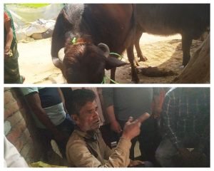 औरैया 04 अप्रैल 24*दो दिन पहले हुई भैंस चोरी आज ग्रामीणों ने पशु मेले से चोर एवं ब्यापारी को रंगे हाथों पकड़ा दोनों को किया पुलिस हिरासत में*