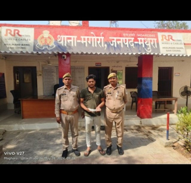 मथुरा 28 मई 2024* थाना मगोर्रा पुलिस द्वारा वांछित चल रहे अभियुक्त को अवैध तमंचा व कारतूस सहित किया गिरफ्तार ।