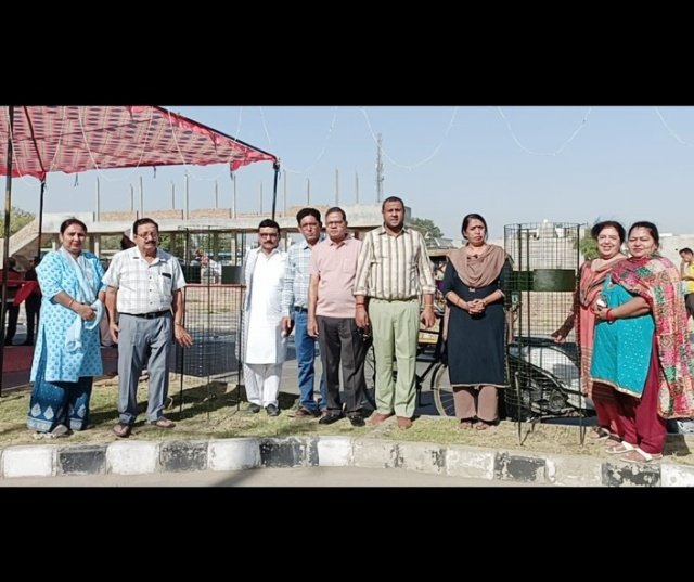 पंजाब 30 मई 2024* अबोहर विकास मंच ने अरूट जी महाराज चौक पर लगाए ट्री गार्ड
