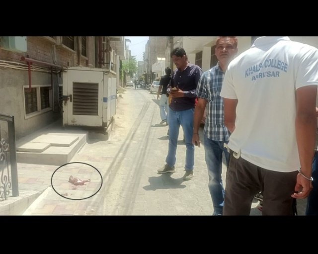 पंजाब 07 मई 2024* भ्रूण फैंकने वालों के खिलाफ कार्यवाई की मांग पंजाब 07 मई 2024* भ्रूण फैंकने वालों के खिलाफ कार्यवाई की मांग