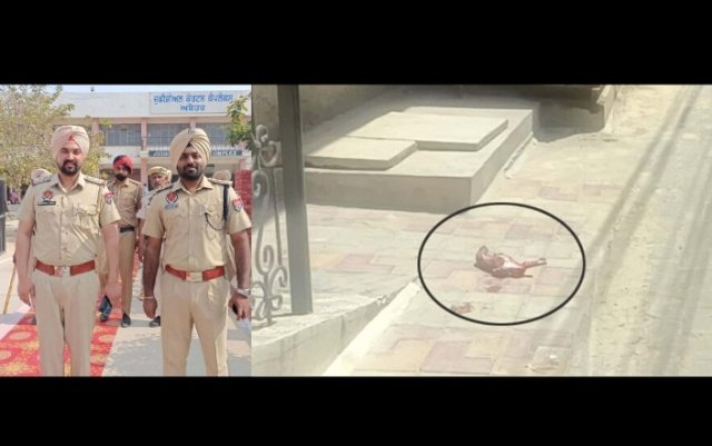 पंजाब 08 मई 2024* भ्रूण फैंकनों वाले के खिलाफ मामला दर्ज : डीएसपी अरूण मुंडन पंजाब 08 मई 2024* भ्रूण फैंकनों वाले के खिलाफ मामला दर्ज : डीएसपी अरूण मुंडन