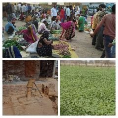 झाँसी22मई24*यूपीआजतक न्यूज चैनल पर झाँसी की महत्वपूर्ण खबरें