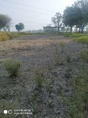 कौशाम्बी23मई24*बरियावा में बिना तालाब खुदाई निकाल लिया गया मनरेगा से मजदूरी* कौशाम्बी23मई24*बरियावा में बिना तालाब खुदाई निकाल लिया गया मनरेगा से मजदूरी*
