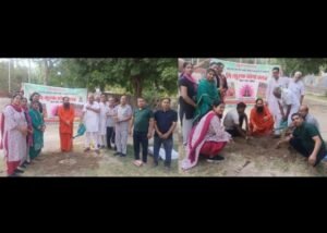 पंजाब 06 जून 2024* नि:शुल्क योगा कल्ब ने नेहरू पार्क में किया पौधारोपण