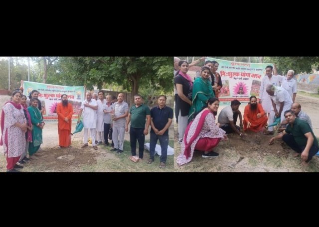 पंजाब 06 जून 2024* नि:शुल्क योगा कल्ब ने नेहरू पार्क में किया पौधारोपण
