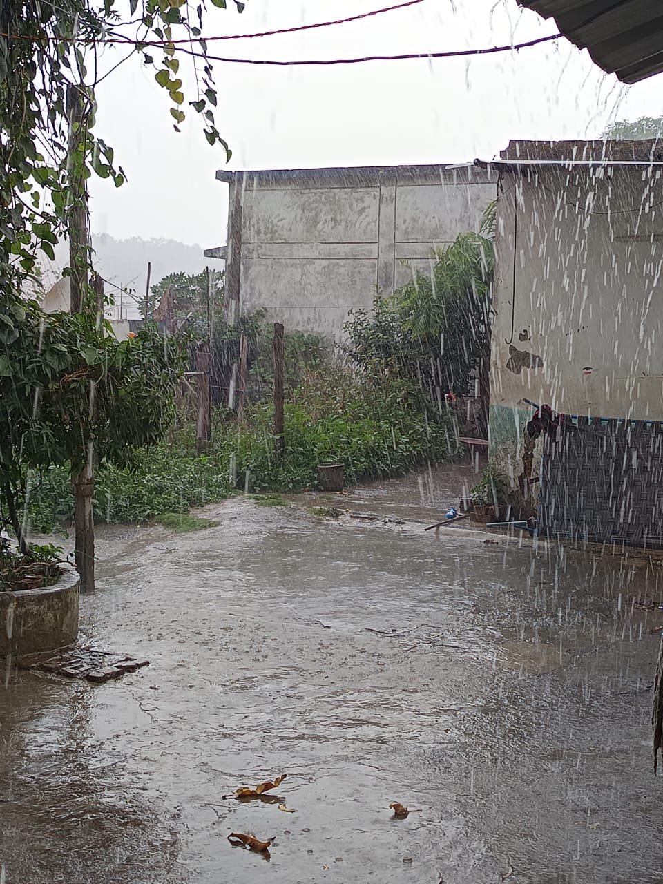 अपूपपुर 02 जून 24*आज नौतपा के अंतिम दिन नर्मदा उद्गम क्षेत्र में हुई मुशलाधार बारिश से हवा में आई शीतलता ।