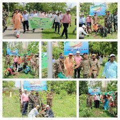 लखनऊ05जून24*वृक्षारोपण कर विश्व पर्यावरण दिवस मनाया गया