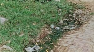 कौशाम्बी05जून24*सफाई कर्मी विना काम किए लेता है वेतन* कौशाम्बी05जून24*सफाई कर्मी विना काम किए लेता है वेतन*