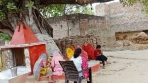 कौशाम्बी06जून24*सुहागन महिलाओं द्वारा ज्येष्ठ मास की अमावस्या को वट बृक्ष की पूजा*