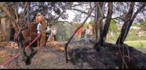 मिर्जापुर11जून24*थाना विंध्याचल के गैपुरा चौकी अन्तर्गत कलना गहरवार में लगी आग जला गरीबों का आशियाना और जानवर*
