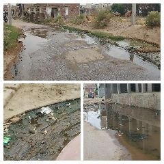 कानपुर22जून24*देवहा गांव में स्वच्छ भारत मिशन की जमकर उड़ा रहे ग्राम प्रधान धज्जियां