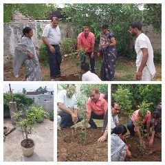 अनूपपुर28जून24*एक वृक्ष मां के नाम ,लगाया शिवहरे दंपति ने जिला जेल परिसर में*