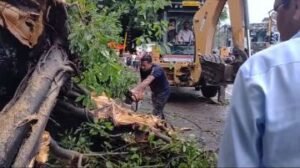 हल्द्वानी29जून24*लगातार भूस्खलन और पेड़ों के गिरने से नैनीताल रोड बाधित