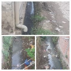 देहरादून30जून24*वार्ड नंबर 84 में 14 कर्मचारी के बाद भी आधी आबादी में गंदगी के अंबार,