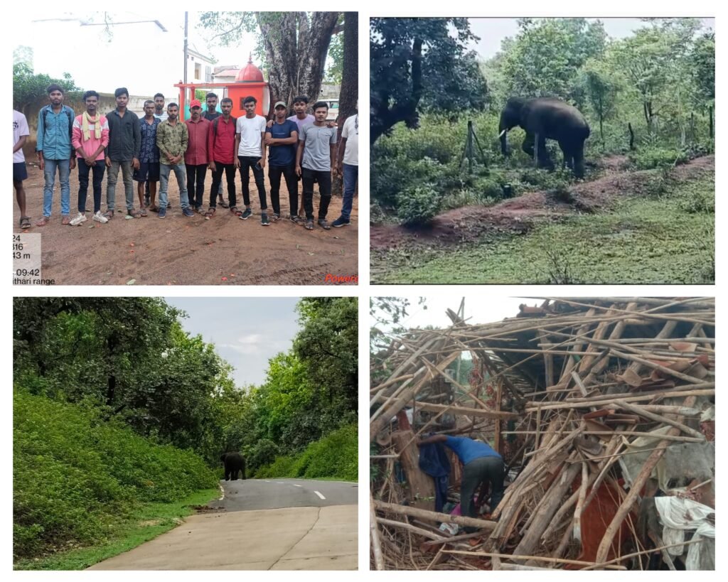 अनूपपुर 30 जून 24*हाथियों को जिले से बाहर करने के लिए पश्चिम बंगाल से पहुचा 14 सदस्यी दल,स्थल का किया