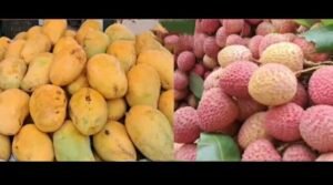 भागलपुर बिहार 09/06/24*भागलपुरी जर्दालू आम और नवगछिया के मनराजी लीची से पटा बाजार, राष्ट्रपति और प्रधानमंत्री भी चखते हैं स्वाद भागलपुर बिहार 09/06/24*भागलपुरी जर्दालू आम और नवगछिया के मनराजी लीची से पटा बाजार, राष्ट्रपति और प्रधानमंत्री भी चखते हैं स्वाद