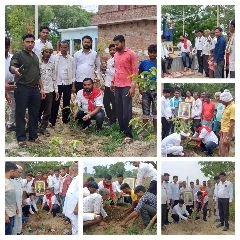 कानपुर नगर01जुलाई24*अखिलेश जी के 51वेंजन्मदिन पर 51 व्रक्ष लगाकर जन्मदिन मनाया।