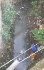 देहरादून3जुलाई24* नगर निगम की अनदेखी के चलते शहर में गंदगी के अंबार, लगातार अनदेखी के चलते जनता में रोष,