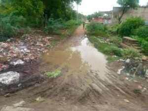 अयोध्या3जुलाई24*कागजों में सिमट कर रह गई माडल ग्राम पंचायत नेवरा की सफाई व्यवस्था