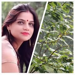 वाराणसी4जुलाई24*कई बीमारियां लेकर आता है बारिश का मौसम, ऐसे रखें खुद का ख्याल-डॉ0 राज लक्ष्मी।