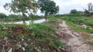 अटसू (औरैया)06जुलाई24*नगर पंचायत अटसू में ताल की मिट्टी ताले जाए की कहावत बिल्कुल सटीक बैठती हुईं साबित हो रही है।*