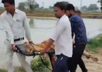 मथुरा06जुलाई24*हाइटेंशन लाइन टूटने से खेत मे करेंट, महिला की मौके पर ही मौत।