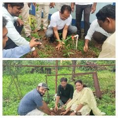 अनूपपुर9जुलाई24*पीएचई के अनूपपुर एवं पुष्पराजगढ़ उपखण्ड कार्यालय परिसर में रोपे गए पौधे
