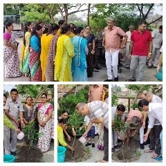 रुड़की हरिद्वार16जुलाई24*हरेला पर्व की धूम एक पेड़ माँ के नाम