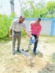 कौशांबी20जुलाई24*बैंक के प्रबंधक ने विद्यालय परिसर में किया पौधारोपण कौशांबी20जुलाई24*बैंक के प्रबंधक ने विद्यालय परिसर में किया पौधारोपण