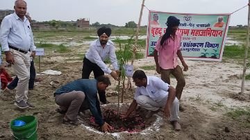 कानपुर देहात 21 जुलाई 2024 *सहायक निदेशक सूचना ने आलमचंदपुर में किया पौधरोपण*