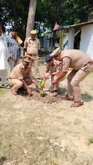 अयोध्या20जुलाई*पर्यावरण को स्वच्छ व शुद्ध रखने के लिए पेड़ों का बड़ा महत्व.....सी ओ आशीष निगम