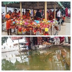 अनूपपुर22जुलाई24*नर्मदा उद्गम कुंड के पानी में जमी काई , जिसमें भक्त करते है आचमन,पूजन। अनूपपुर22जुलाई24*नर्मदा उद्गम कुंड के पानी में जमी काई , जिसमें भक्त करते है आचमन,पूजन।