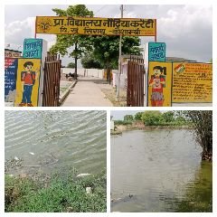 कौशांबी22जुलाई24*तालाब में डाला जहर मछलियों के मरने से उठ रही दुर्गंध* कौशांबी22जुलाई24*तालाब में डाला जहर मछलियों के मरने से उठ रही दुर्गंध*