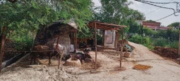 कानपुर नगर25जुलाई24*सरकारी तालाब की जमीन पर किया गया कब्जा