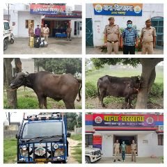 सहारनपुर27जुलाई24*थाना मिर्जापुर,थाना चिलकाना,थाना सरसावा एवम थाना बड़गांव से बड़ी खबर*